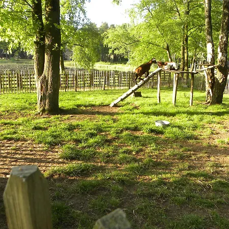 Bospark Te Semesterbostad Stramproy