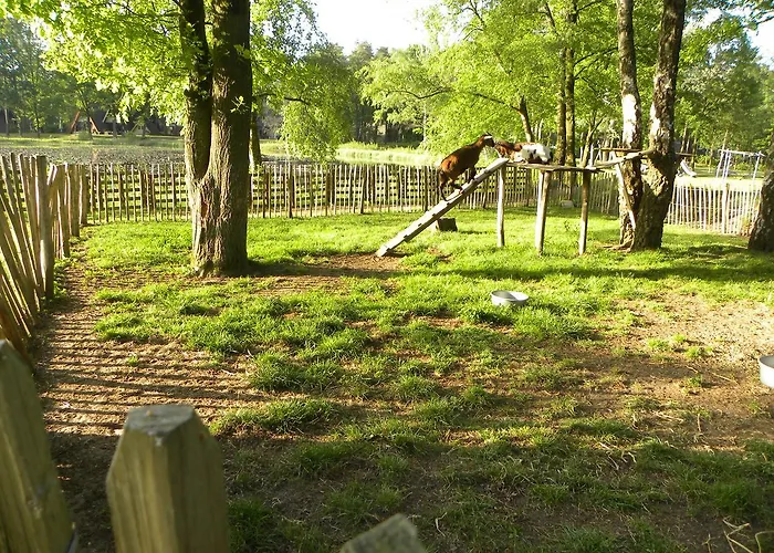 Bospark Te Дом отдыха Stramproy